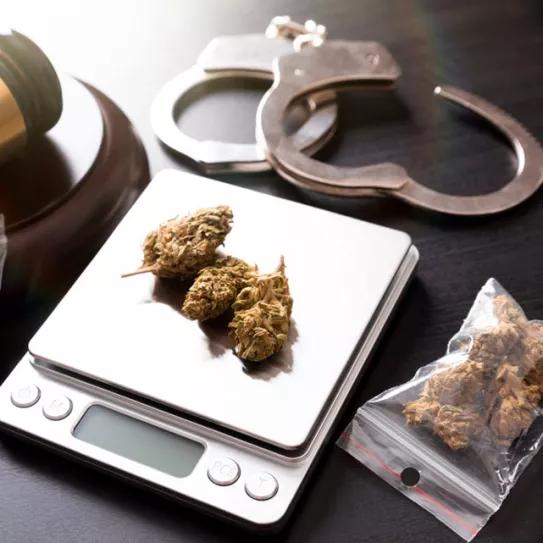 Policía de Dallas ordena no arrestar por posesión de hasta 113 gramos de cannabis.