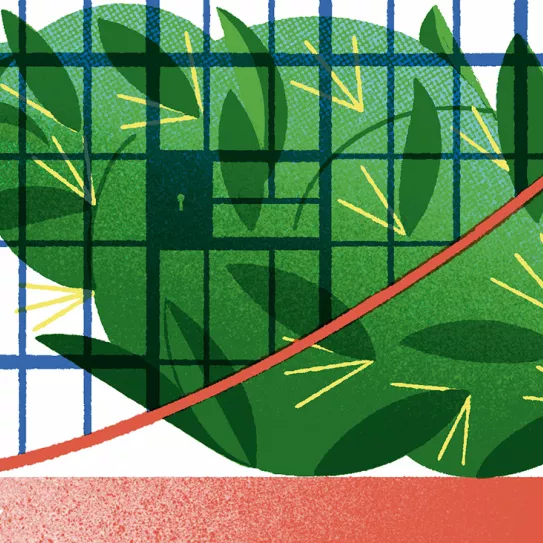 Consultorio Jurídico Ilustración: Julio Fuentes