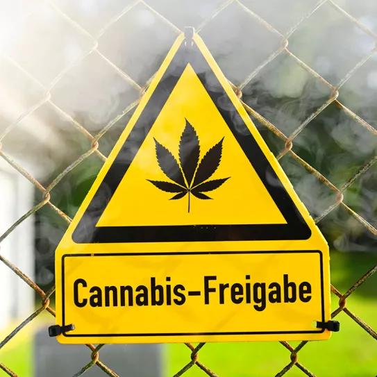 En la recta final de las elecciones alemanas, cada vez más sectores conservadores reclaman el fin de la legalización del cannabis