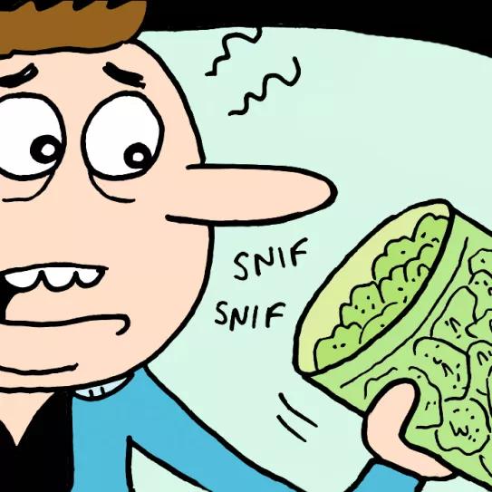 Abarrots Notas de cata