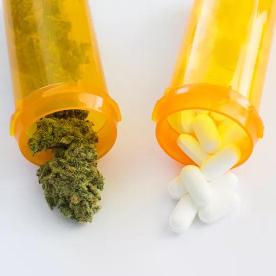 El cannabis es más eficaz que los analgésicos para tratar el dolor crónico