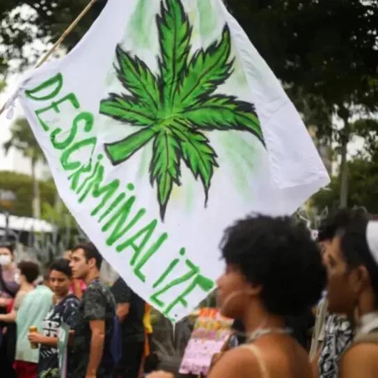 La Justicia brasileña ratificó la despenalización del cannabis para consumo personal