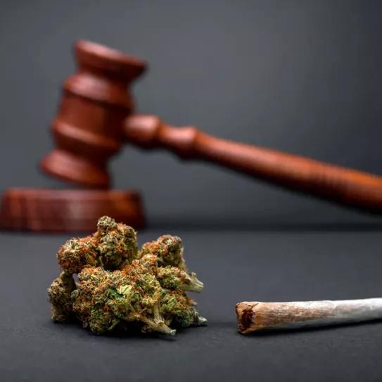 La Justicia de Texas confirma la despenalización del cannabis en Dallas