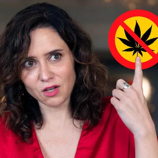 El problema es Ayuso, no el cannabis