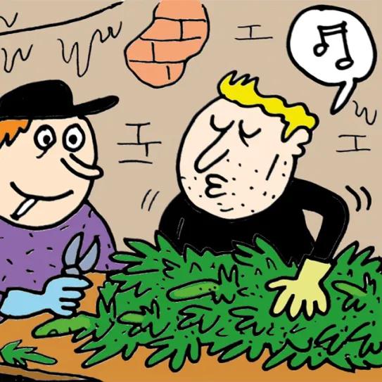 Abarrots - El triángulo esmeralda