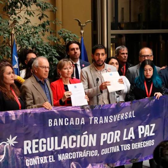 Diputados chilenos presentan un proyecto de ley para regular el uso adulto de cannabis