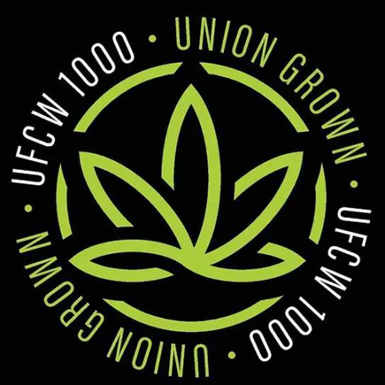 Trabajadores del cannabis se sindicalizan en Nueva Jersey