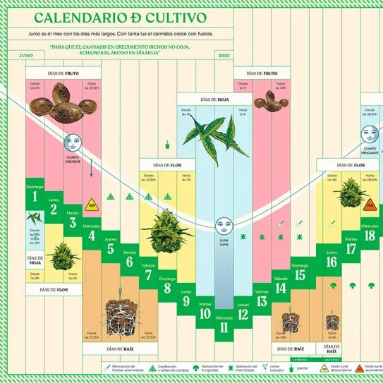 Calendario biodinámico de cultivo Junio 2025 CÁÑAMO 330