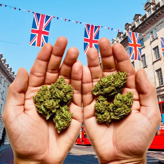 Informe propone despenalizar la tenencia de cannabis para uso personal en Londres