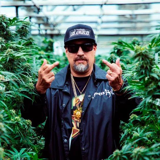 Celebridades cannábicas apuestan por la producción de semillas