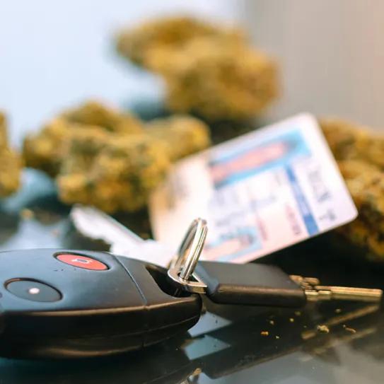 Consumidores diarios de cannabis muestran mínima alteración al conducir