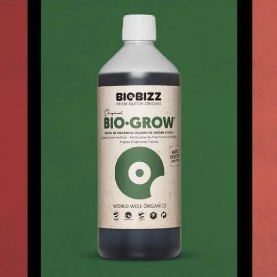 Flores con alma: la magia orgánica detrás de una floración potente y aromática