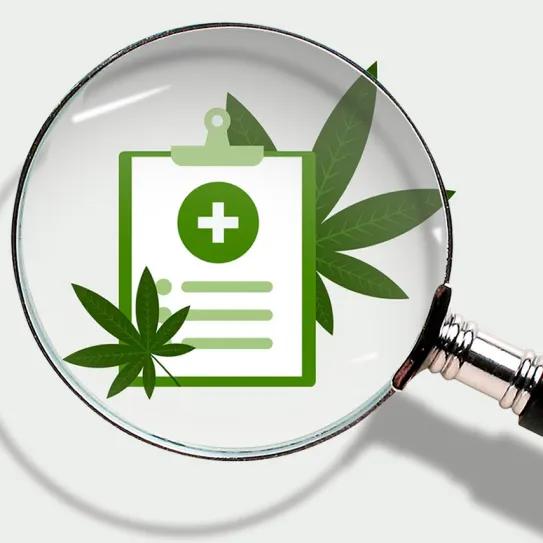 Australia investiga prescripciones masivas de cannabis medicinal