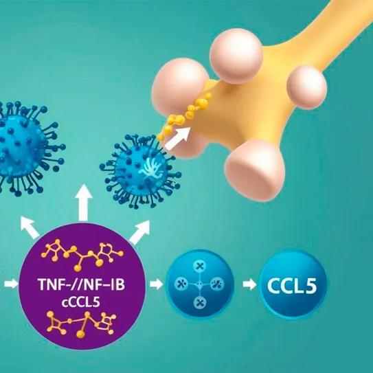 El CBD logra frenar el crecimiento del osteosarcoma