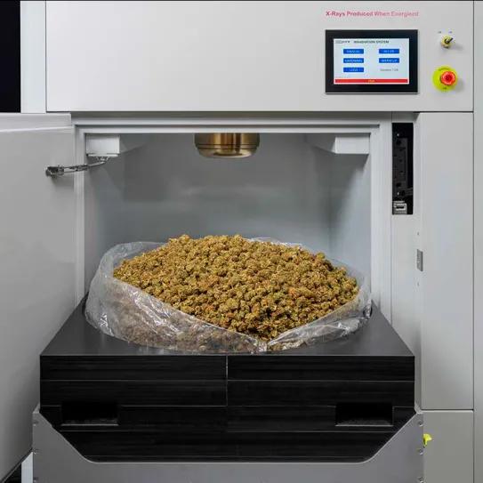 Rayos X es la tecnología preferida para descontaminar cannabis