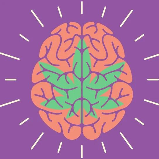 El cannabidiol reduce en más de un 40% las crisis en epilepsia resistente