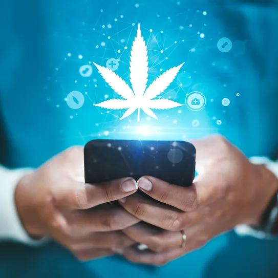 En Australia se inicia consulta sobre cannabis medicinal