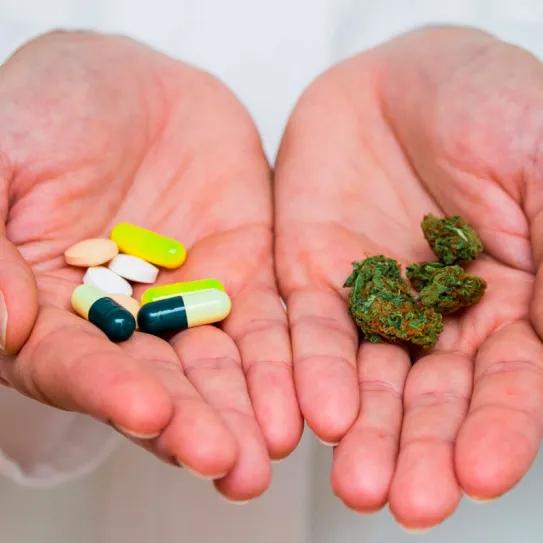 Cannabis podría reducir el uso de opioides en dolor crónico