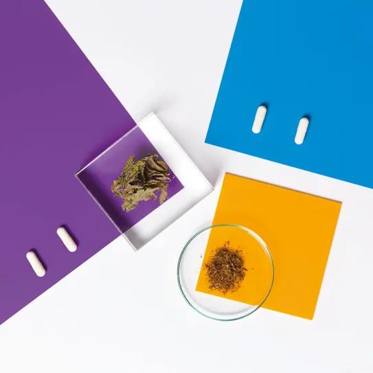 Noches de verano de ensueño