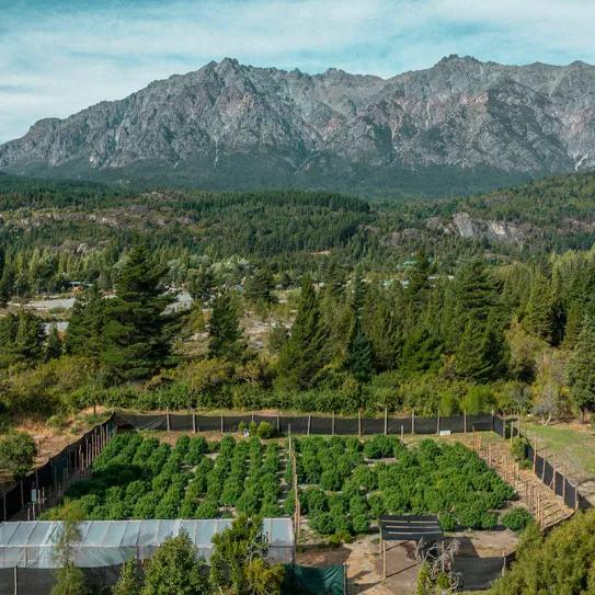 Integran ecoturismo y ciencia cannábica en la montaña argentina