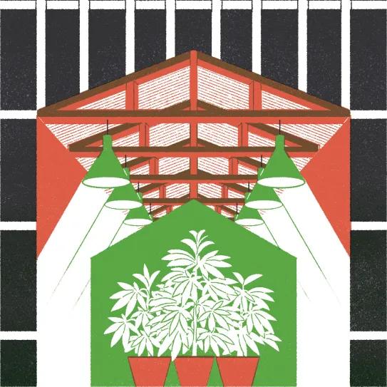 El tamaño sí importa. Consultorio Jurídico - Ilustración: Julio Fuentes