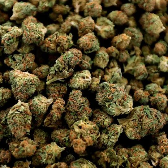 Volvemos a preguntarnos: ¿es posible la sobredosis por cannabis?