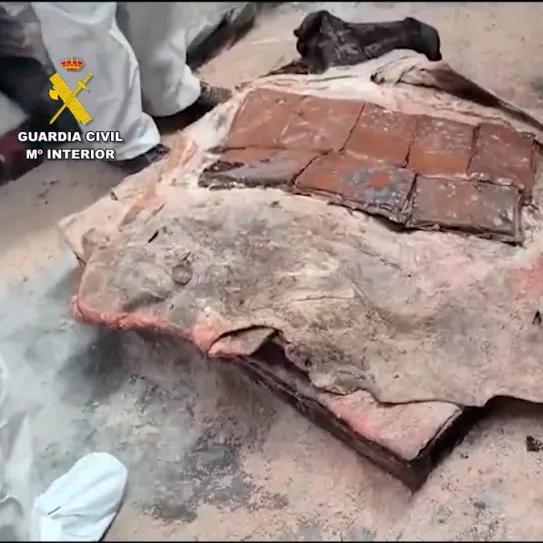 Caen distribuidores de cocaína camuflada en pieles de bovino