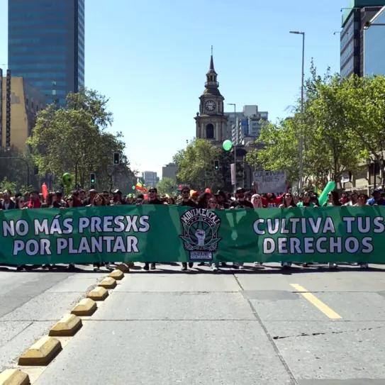 Marcha pro cannabis en Chile cumplió 20 años
