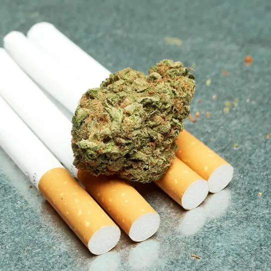Sube el uso de cannabis y baja el consumo de cigarrillos