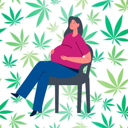 Una de cada seis embarazadas consumen cannabis en Michigan
