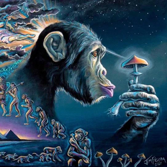 Neurociencia y epigenética reabren el debate sobre la teoría del mono drogado