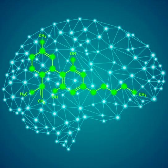 Extracto rico en CBD se asocia a mejoras del TDAH en autismo