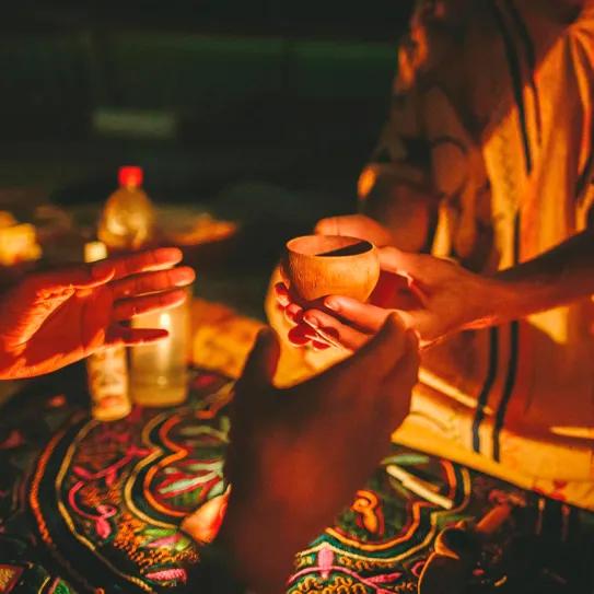 La palabra “secta” es un pretexto para perseguir ceremonias con plantas psicoactivas