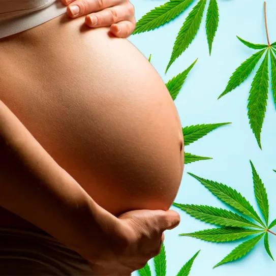 Exposición prenatal al cannabis