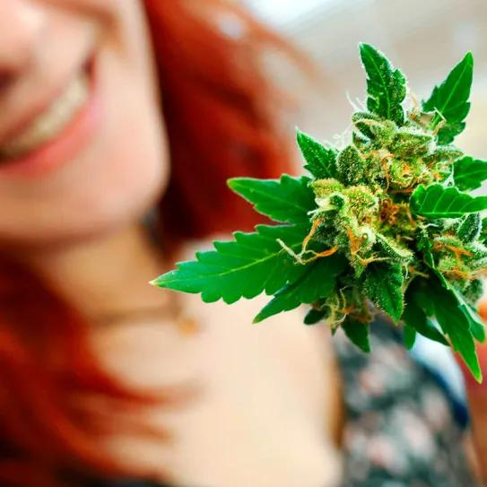 Cannabis y perimenopausia: lo que se sabe sobre alivio de síntomas