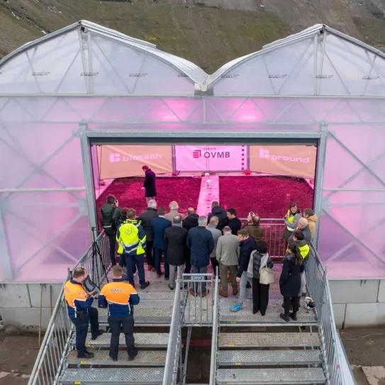 Puerto de Gante prueba cáñamo industrial para descontaminar suelos