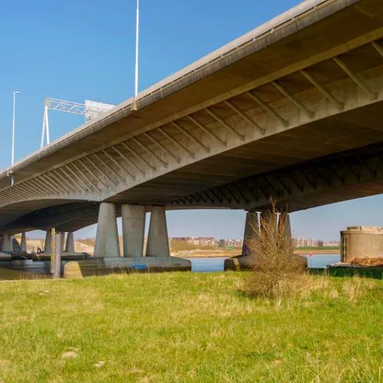 Un consumo eléctrico atípico revela una plantación en un puente