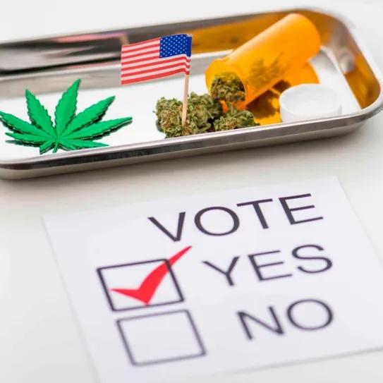 Primaria demócrata de Texas apoya legalización del cannabis