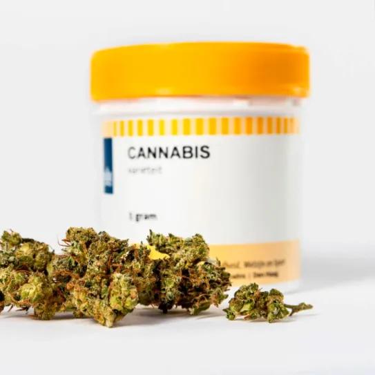 Alemania debate nuevas trabas al cannabis medicinal