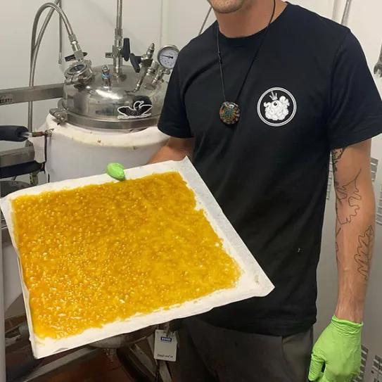 Minnesota estrena cannabis artesanal en dispensarios de uso adulto