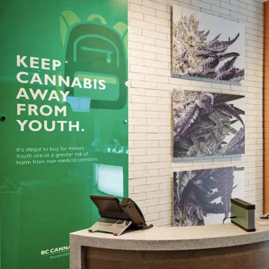 La venta legal de cannabis no está abriendo la puerta a menores de edad