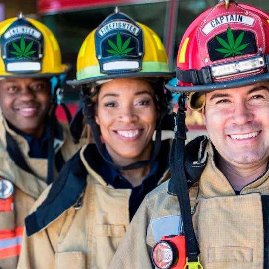 Maryland avanza en la protección laboral para usuarios de cannabis terapéutico 