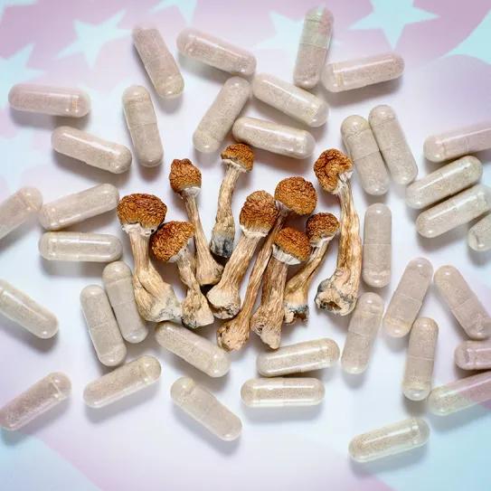 Virginia condiciona la psilocibina a una futura luz verde federal