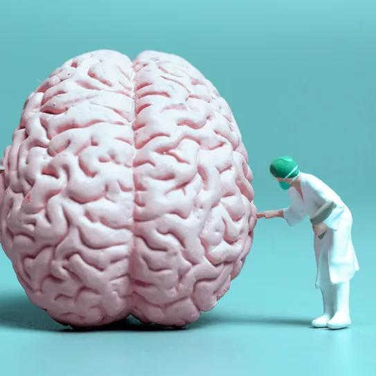 El CBD abre una vía frente al deterioro cognitivo