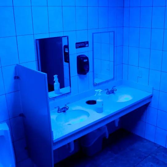 Universitat de Lleida instala luz azul en un baño para impedir que se inyecten