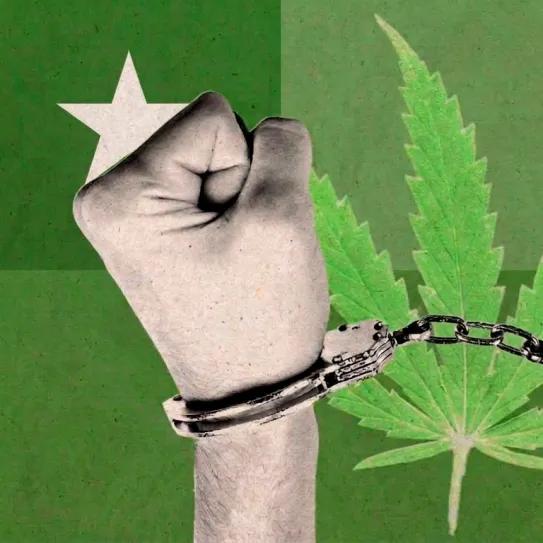Chile debate penas más duras por porte de marihuana