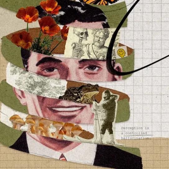 Unraveling the Dream
