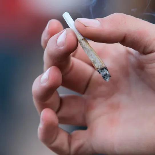 El consumo de cannabis en adolescentes cae a mínimos en España