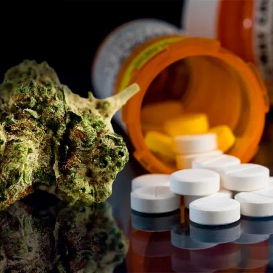 Cannabis regulado y opioides: surge nueva evidencia