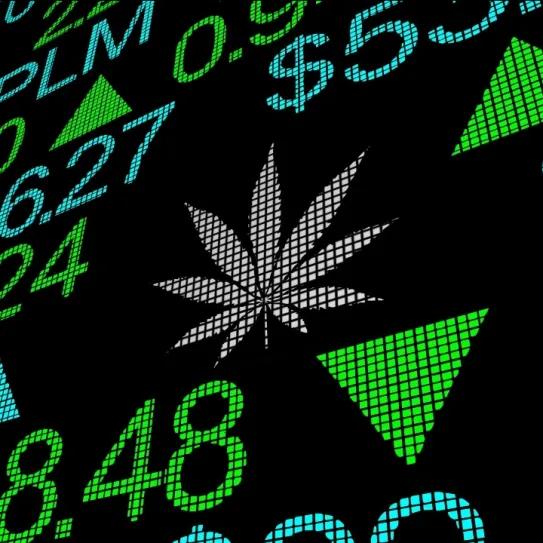 Empresa cannábica llega a la Bolsa de Nueva York